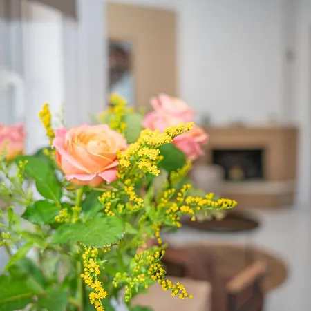 βella's Apartment, Chania Apartment