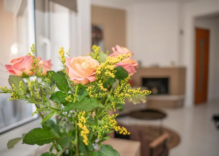 βella's Apartment, Chania *